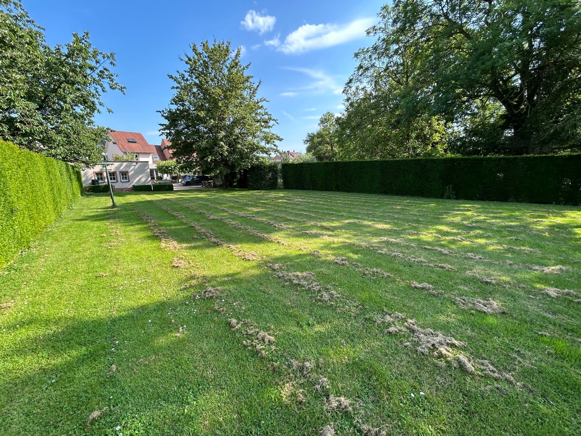 Property picture 12