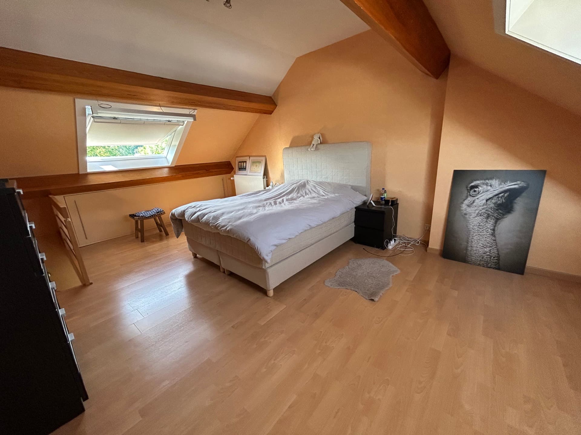Property picture 7