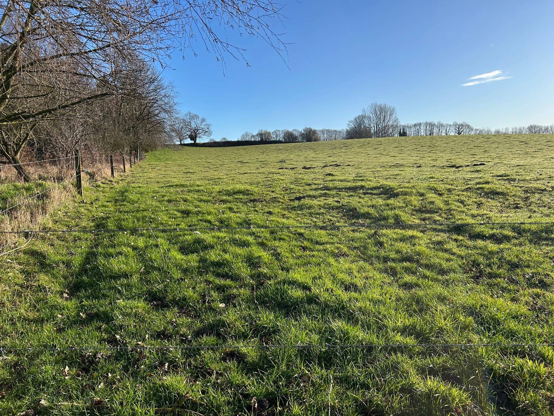 Property picture 5